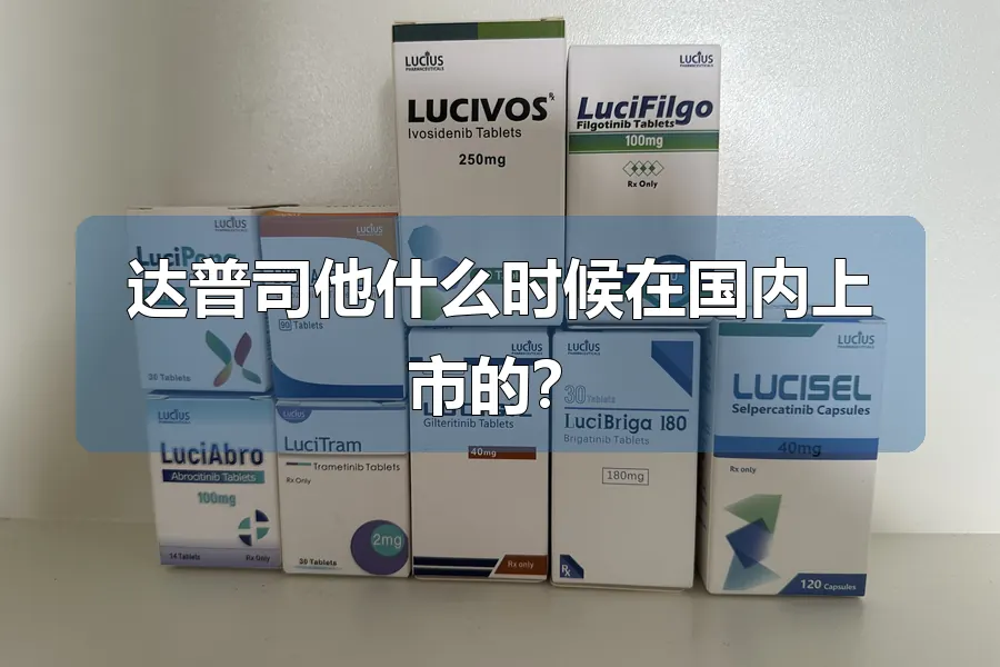 达普司他什么时候在国内上市的?